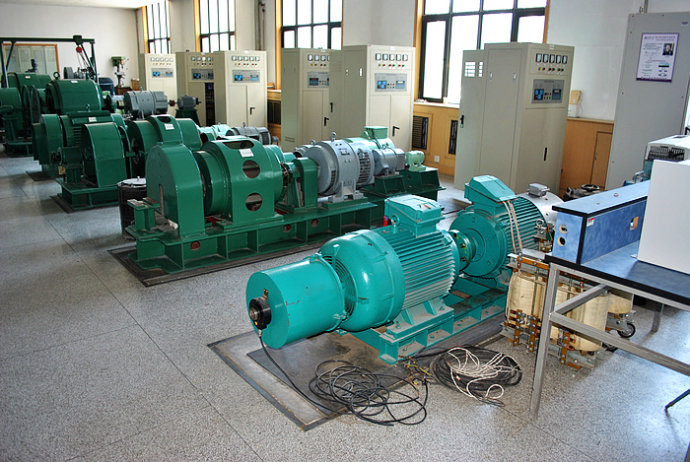 临高某热电厂使用我厂的YKK高压电机提供动力